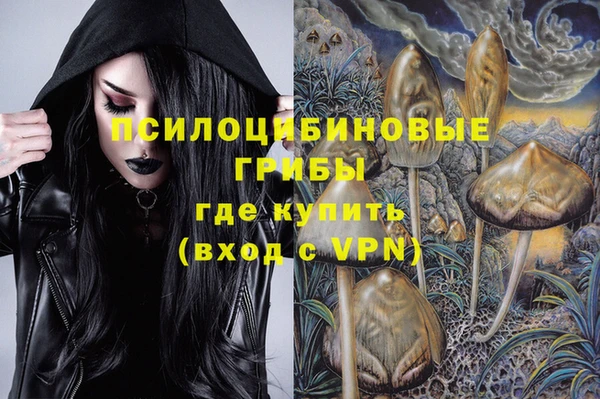 каннабис Богородицк