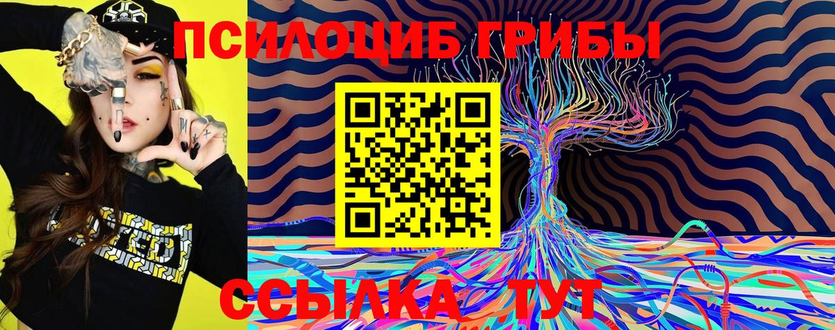 Наро-Фоминск  Псилоцибиновые грибы Cubensis  Вход с VPN 