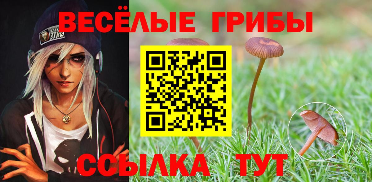 Псилоцибиновые грибы Cubensis Наро-Фоминск