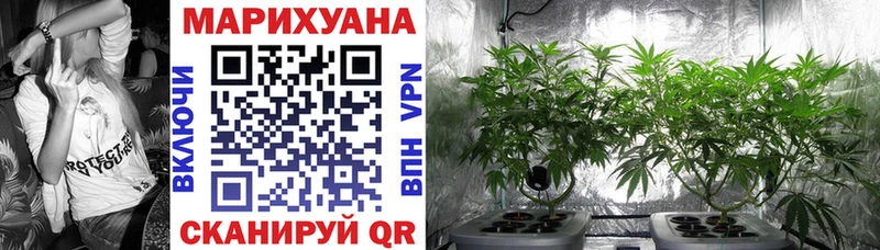 Шишки марихуана сатива  Наро-Фоминск 
